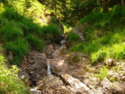 2013-07-13_Regina-F-Rau_Sonnenspitze3 (039).JPG